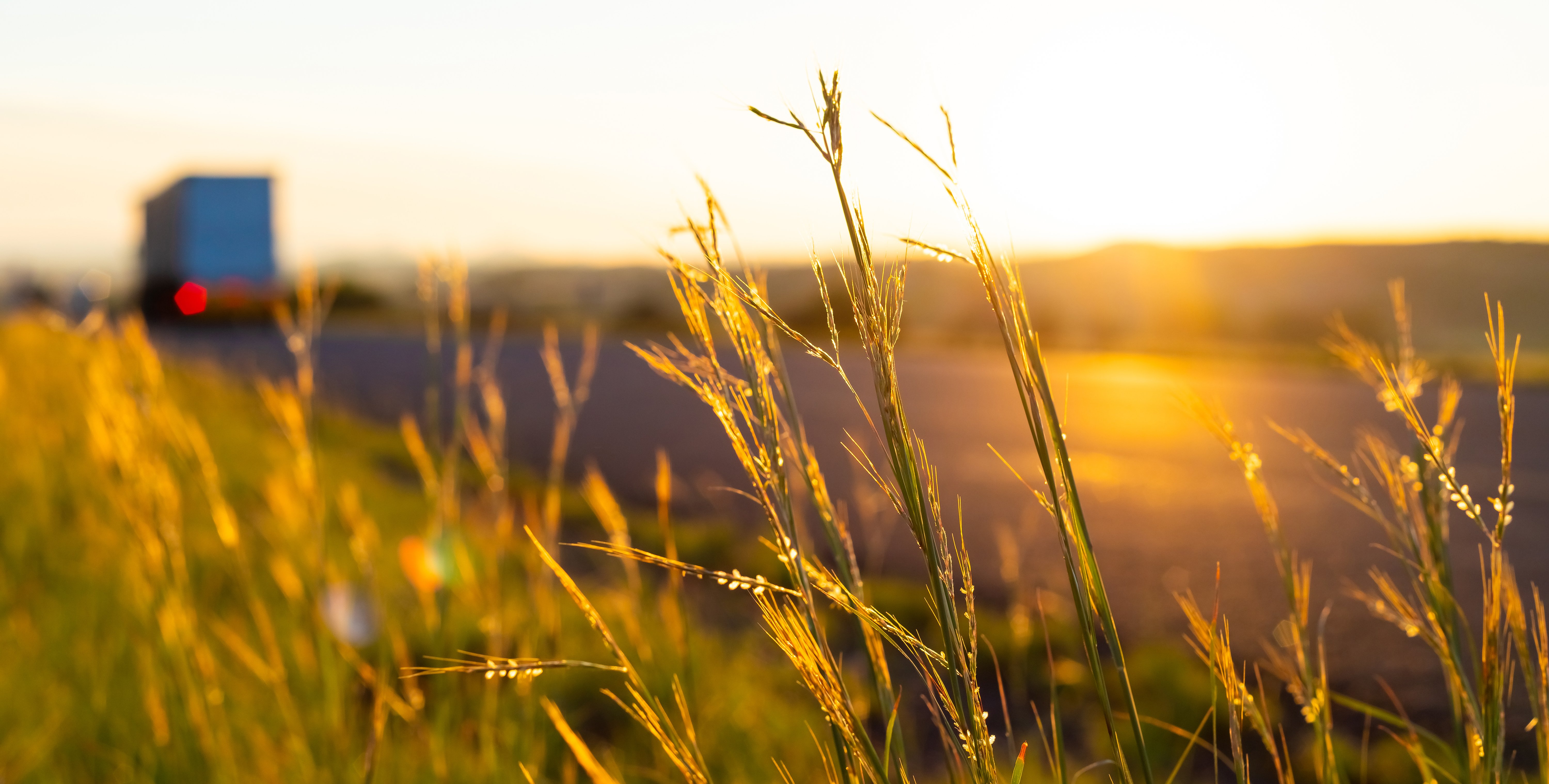 Sunrise highway in rural South Africa (shutterstock_1730916643)